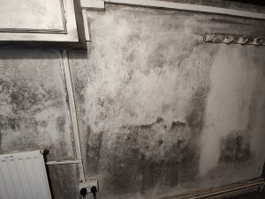 IMG_20230130_104147093-300x225